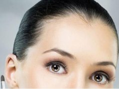 種植美人尖去介紹呢