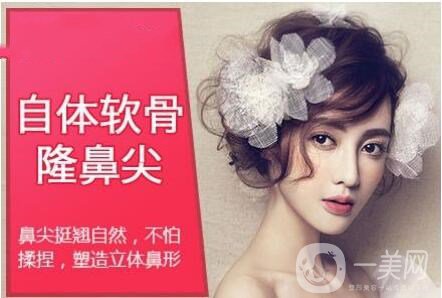 自體軟骨隆鼻尖,價(jià)格