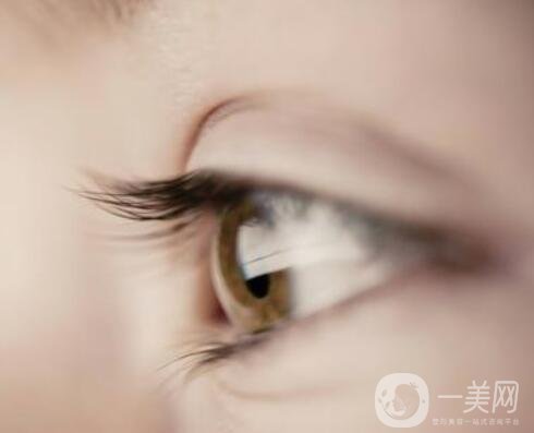 種睫毛要多少錢 種睫毛價(jià)格是多少