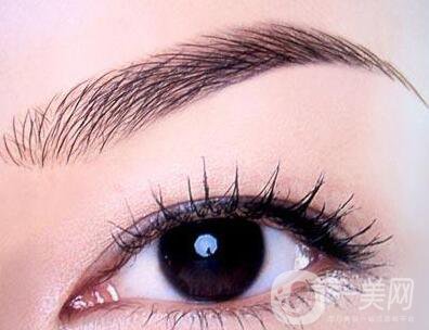 種植眉毛一般要多少錢 植眉價格詳解