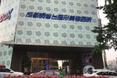 成都銅雀臺整形價格表及整形專家親情巨獻