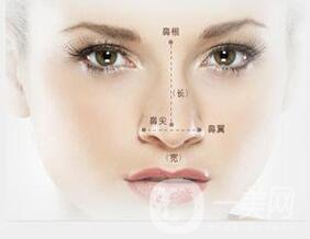 上海耳軟骨隆鼻多少錢,耳軟骨隆鼻,耳軟骨隆鼻多少錢