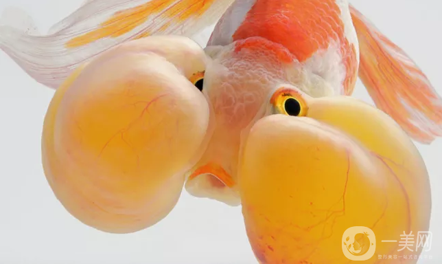 腫泡眼雙眼皮修復價格 