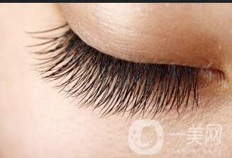 種睫毛多少錢