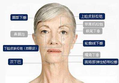 *生物除皺價(jià)格是多少 *果怎么樣