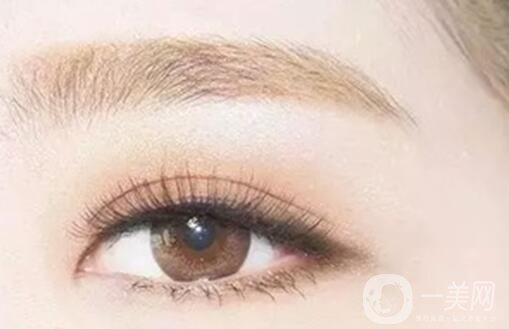 秀眉多少錢 價格詳解