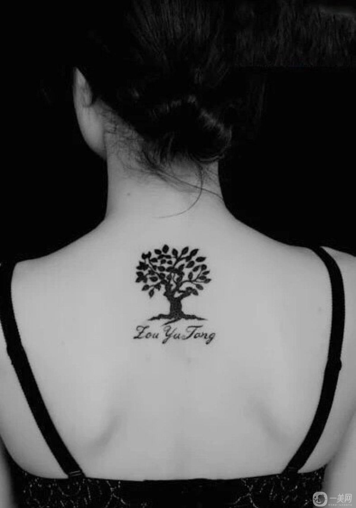 沃斯堡的皮紋術(shù)怎么樣 皮紋術(shù)是如何工作的