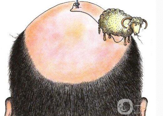 過早脫發(fā)如何調節(jié) 調節(jié)脫發(fā)哪種方比較好?