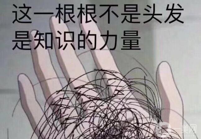 過早脫發(fā)如何調節(jié) 調節(jié)脫發(fā)哪種方比較好?