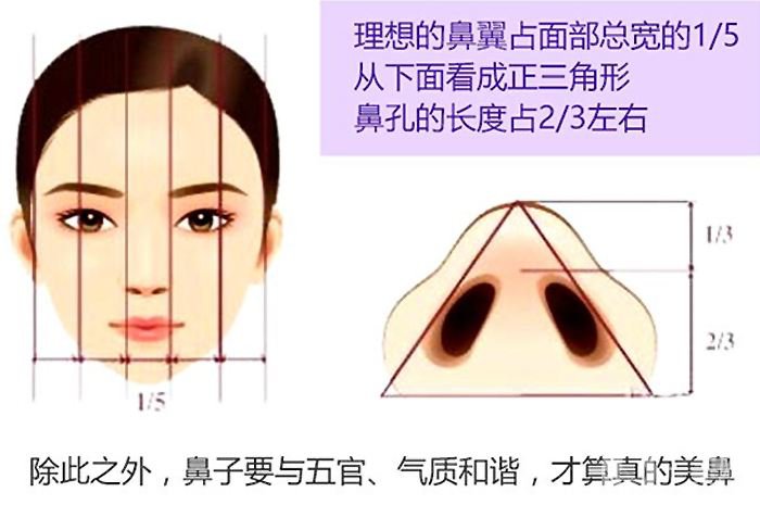 鼻翼縮窄術(shù)價格是多少 鼻翼縮窄*果好不好