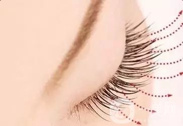 種睫毛多少錢 種睫毛手術(shù)時(shí)間是多久