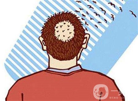 毛發(fā)種植費(fèi)用大概要多少錢？