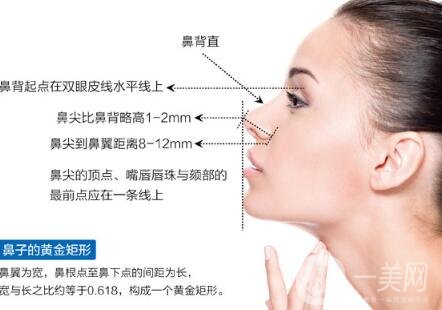 假體隆鼻術(shù)