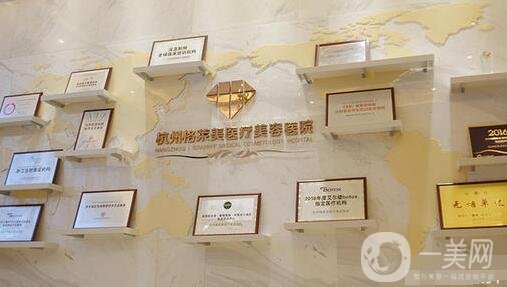 杭州格萊美醫(yī)療美容醫(yī)院價格表2019秋季全新版本，附概況