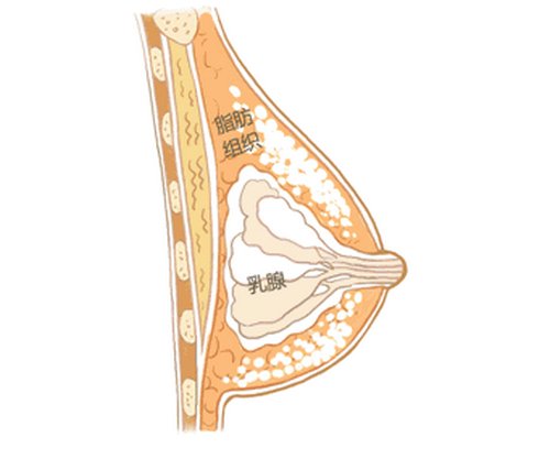 天津醫(yī)科大學(xué)總醫(yī)院整形科價(jià)格表和隆胸案例*新版一覽