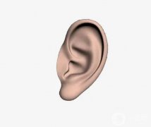 豐耳垂有什么危害?有哪些禁忌人群?