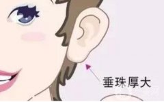 豐耳垂的注意事項及好處、壞處？