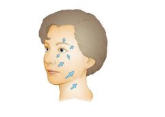 熱拉提有什么果？功和作用？