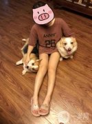 本來我就不太喜歡運動，決定了做大腿吸脂手術(shù)