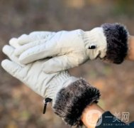 抵御寒冬必備手套推薦，讓雙手溫暖如春