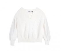 正天羊?qū)儆谑裁礄n次？