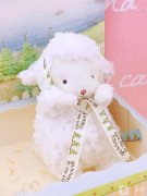 ＂平價小物推薦：讓日常生活增添別樣色彩＂