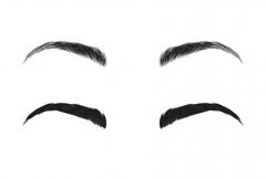 野生眉和霧眉哪個(gè)貴