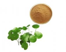 植物提取成分：護(hù)膚功效與產(chǎn)品推薦