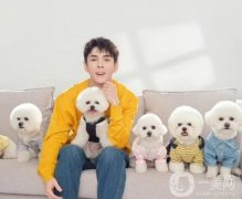 網(wǎng)絡(luò)暴力之痛：公眾人物如何應(yīng)對(duì)？