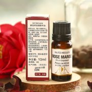 摩洛哥玫瑰：浪漫與魅力的源泉