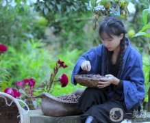 李子柒與“中國(guó)風(fēng)”的全球魅力：文化輸出的新典范