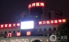 2024大坪醫(yī)院隆鼻價(jià)格表公布，附坐診醫(yī)生簡(jiǎn)介、技術(shù)實(shí)力淺析