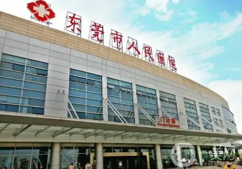 東莞植發(fā)醫(yī)院正規(guī)的有哪家?高口碑前五醫(yī)院信息一覽