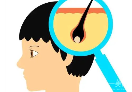 上海植發(fā)醫(yī)院排名和價(jià)格分享|有沒有心儀醫(yī)院?