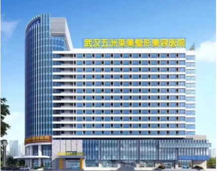 武漢五洲萊美整形醫(yī)院.jpg